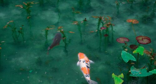 photo of two black, white, and orange koi fish