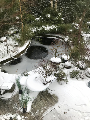  Winter Koi Pond