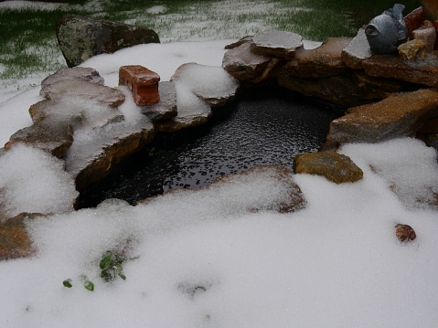 snow koi pond